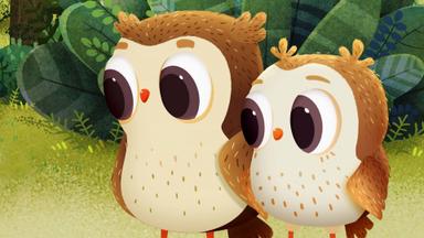 Poster episodio Odo 1x13