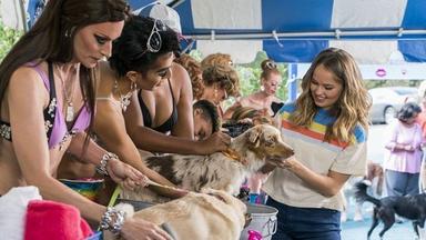 Poster episodio Insatiable 1x6