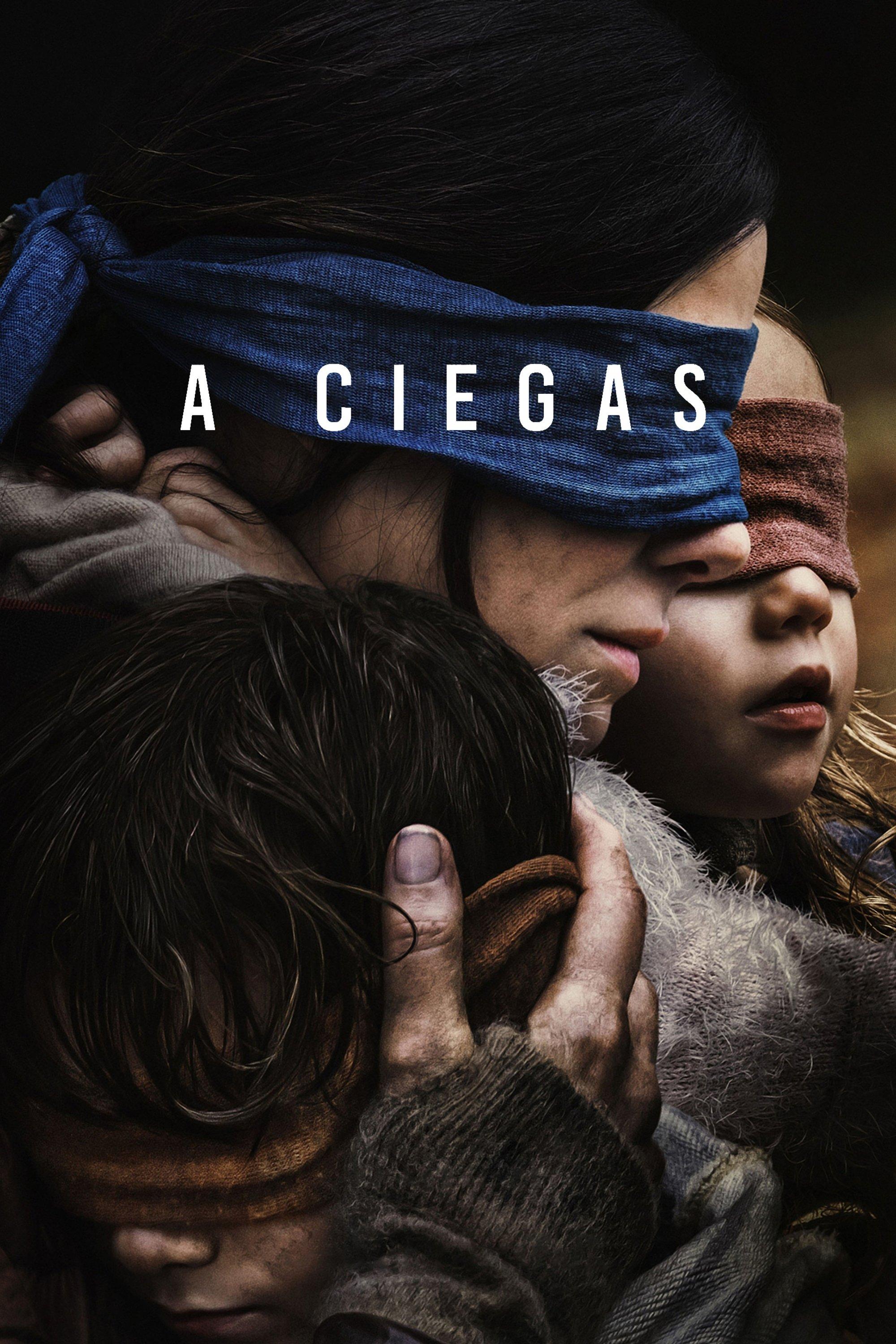 Poster Bird Box: A Ciegas