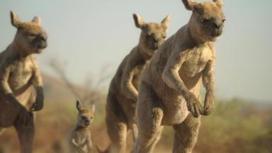 Poster episodio Planeta prehistórico 3x3