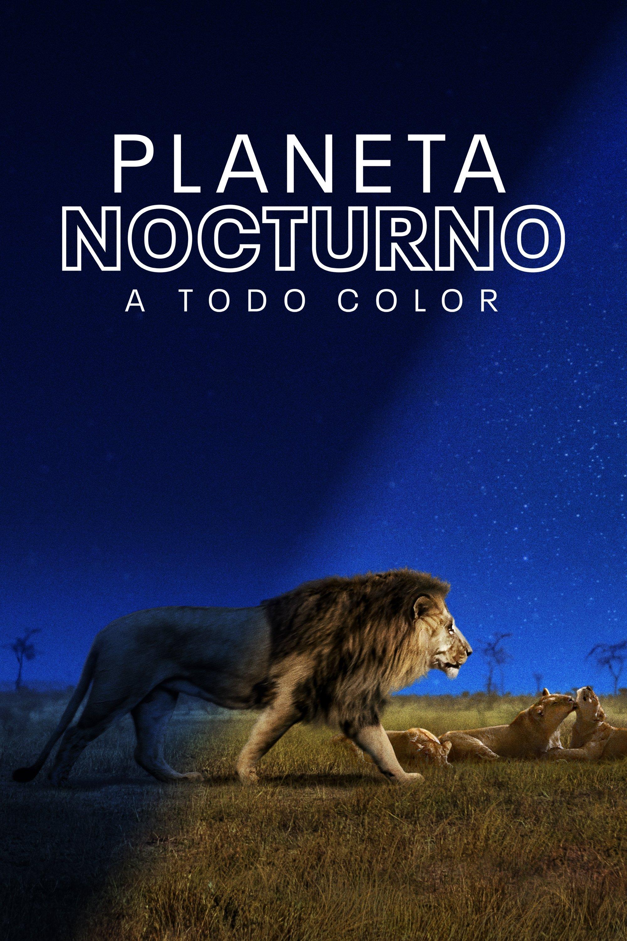 Poster Planeta nocturno: a todo color