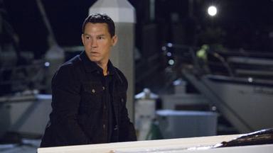 Poster episodio Animal Kingdom 1x5