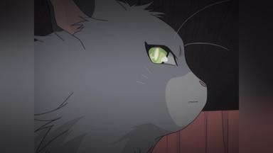 Poster episodio Earl and Fairy 1x9