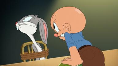 Poster episodio Looney Tunes Cartoons 1x22