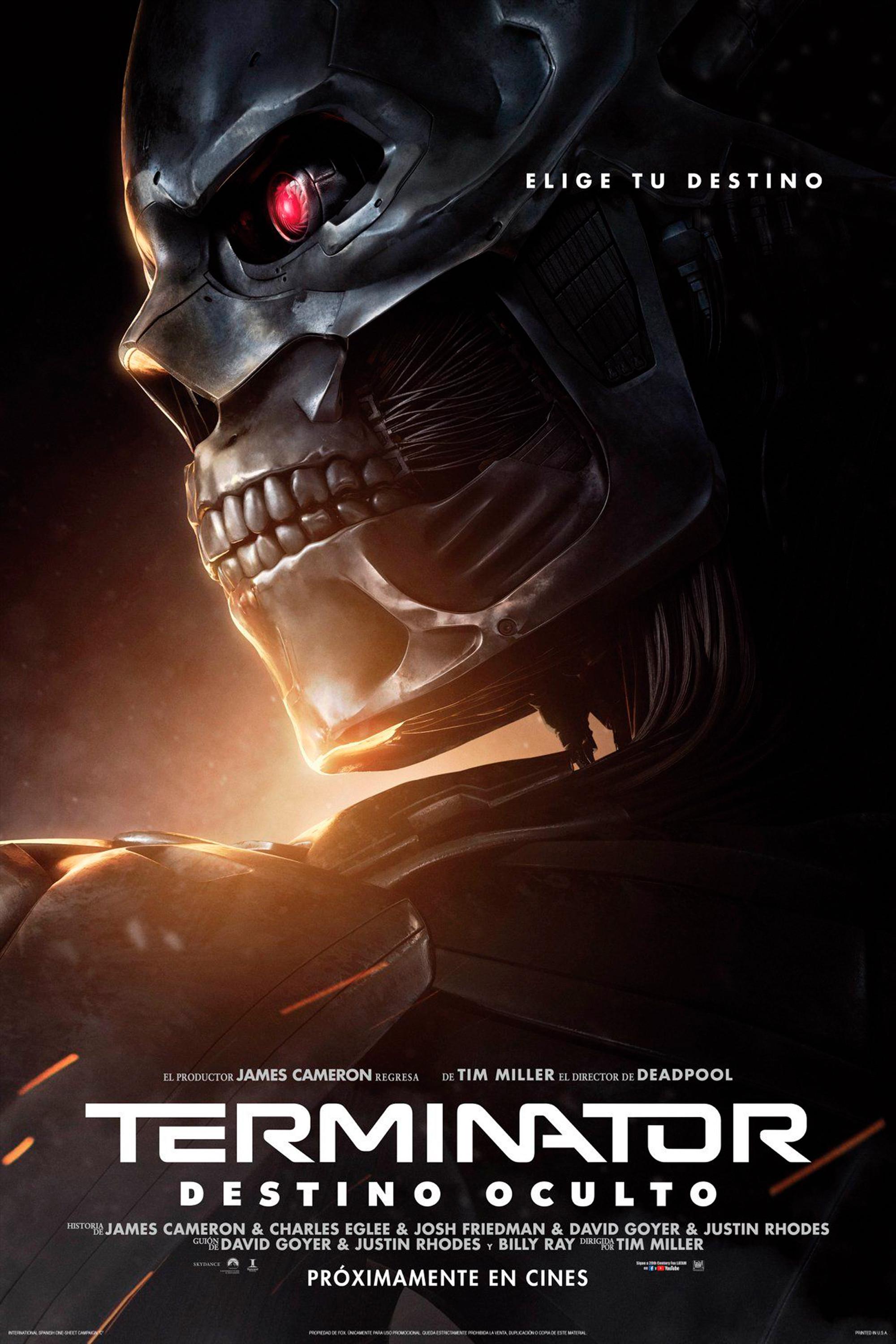 Poster Terminator: Destino Oculto