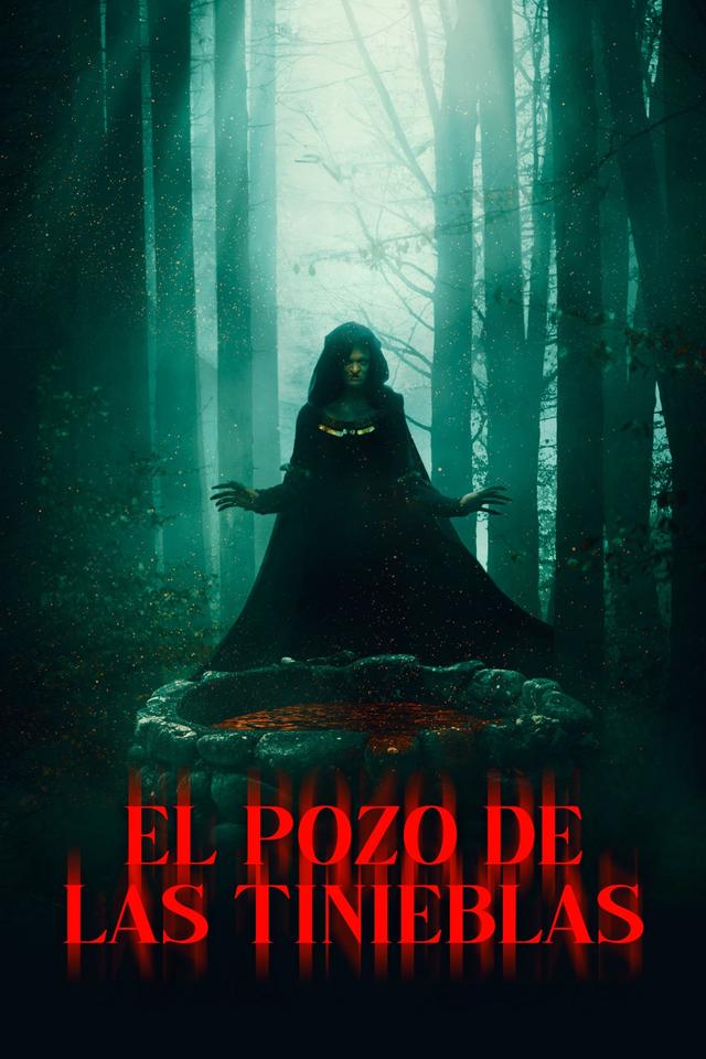 Poster El Pozo