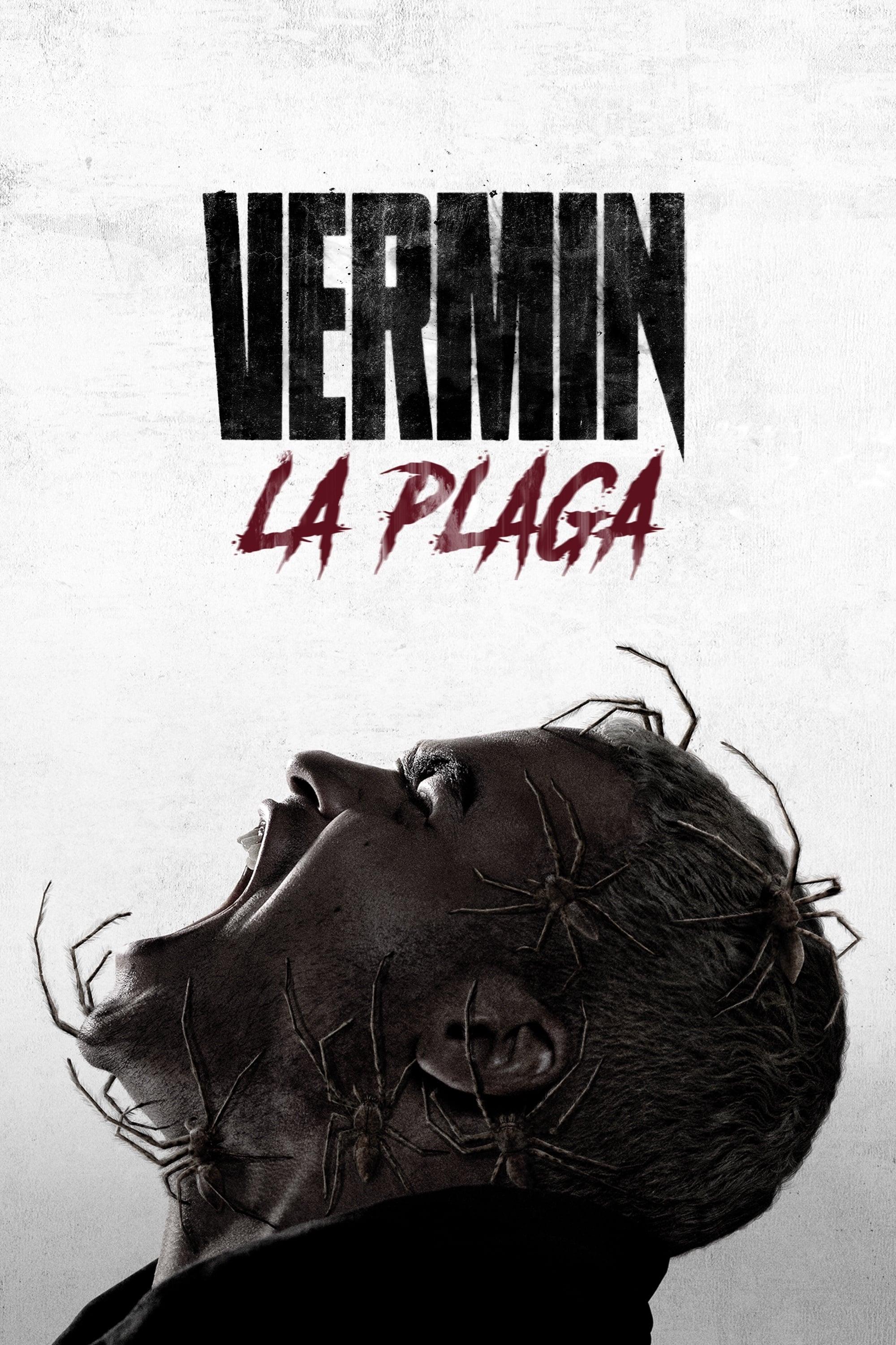 Poster Arácnidos