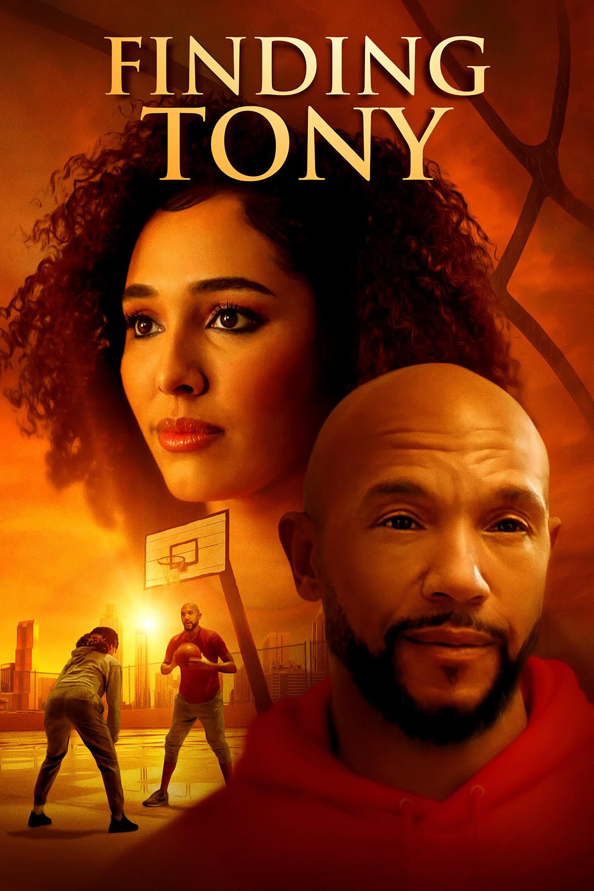 Poster Finding Tony