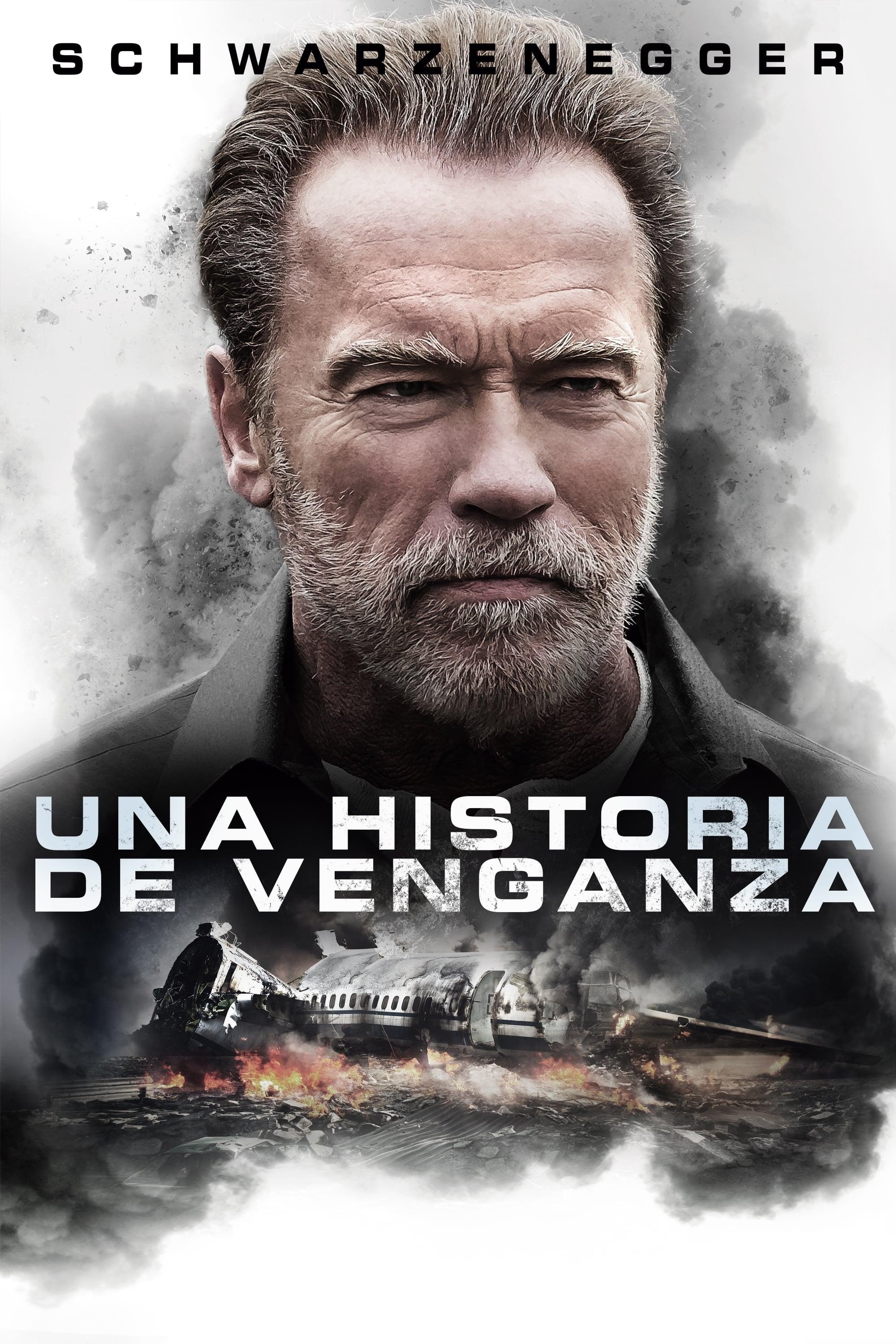 Poster En busca de venganza