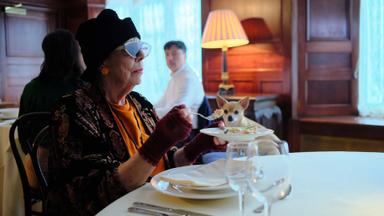 Poster episodio Professor T 1x6