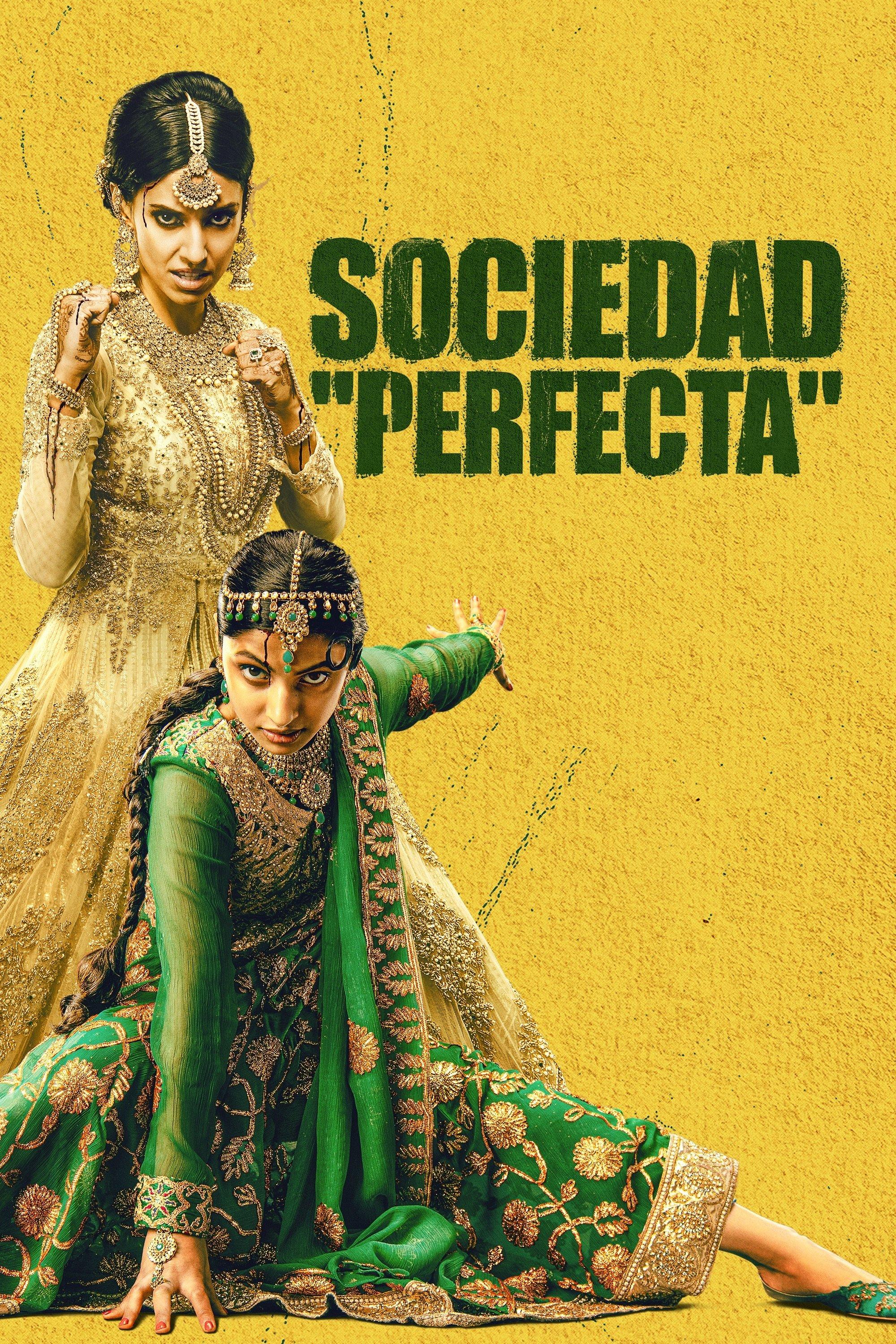 Poster Sociedad "perfecta"