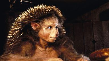 Poster episodio El Narrador de Cuentos 1x5