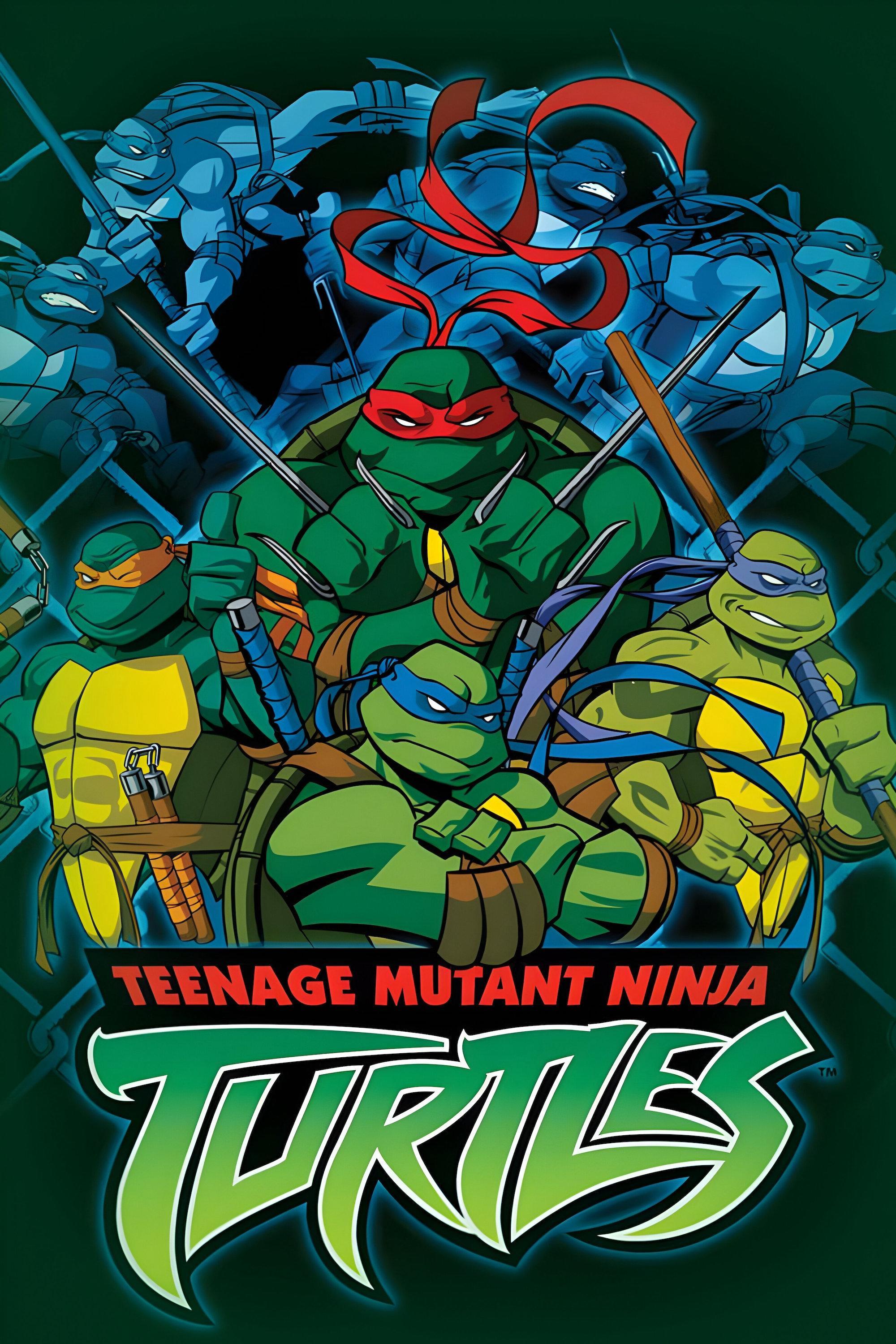 Poster Tortugas Ninjas Mutantes Adolescentes