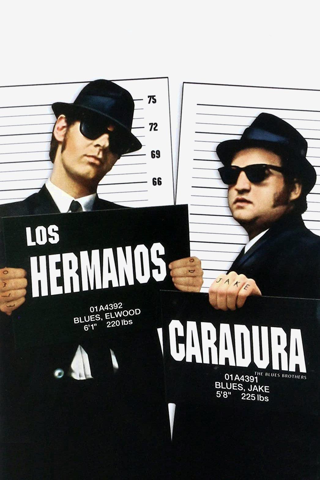 Poster Los Hermanos Caradura