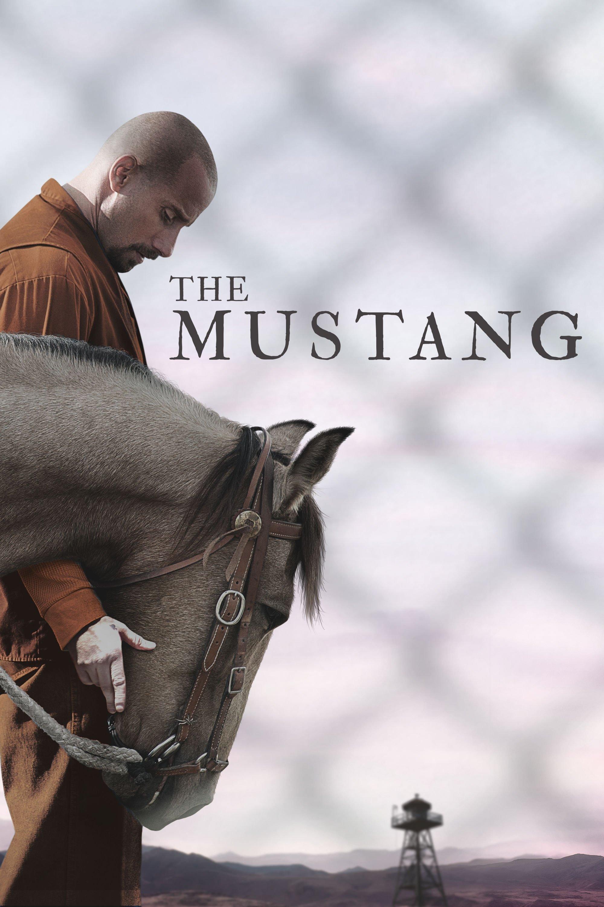 Poster Mustang: La rehabilitación