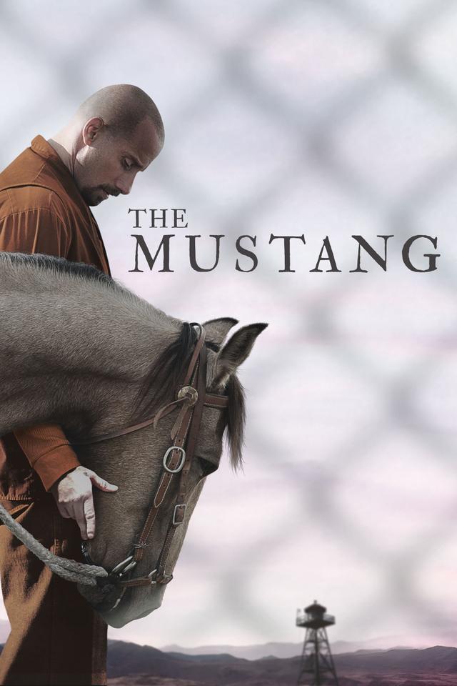 Poster Mustang: La rehabilitación