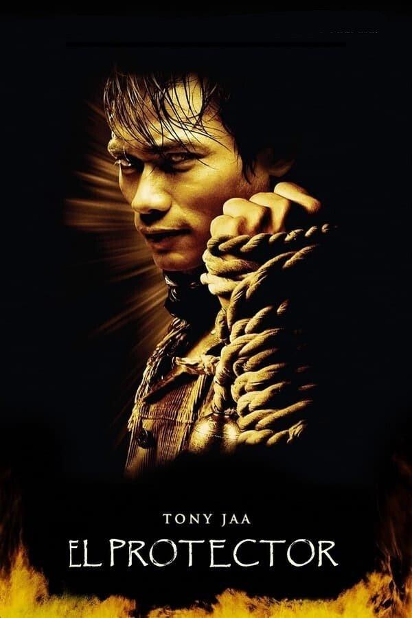 Poster El Protector