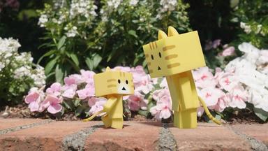 Poster episodio Nyanbo 1x1