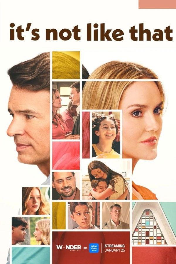 Poster It's Not Like That