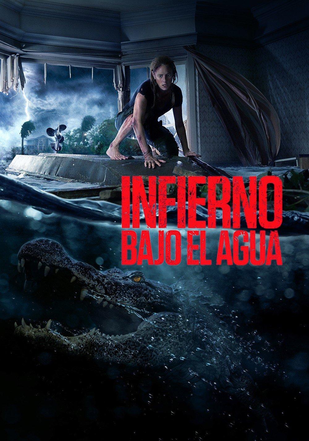 Poster Infierno en la tormenta