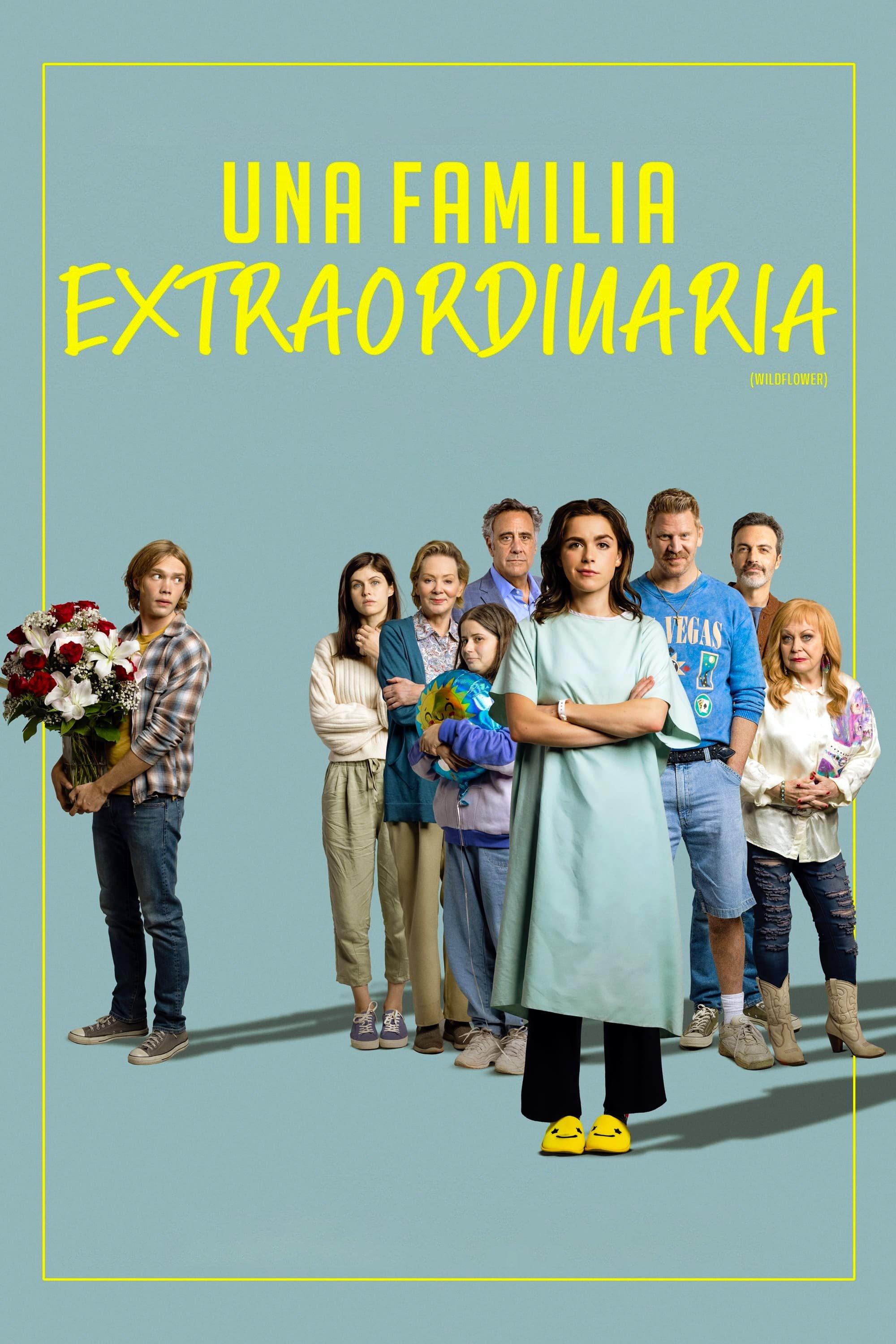 Poster Una Familia Extraordinaria