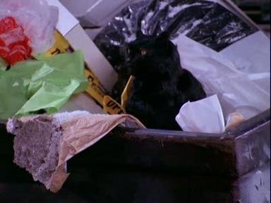 Poster episodio Sabrina, la bruja adolescente 1x11