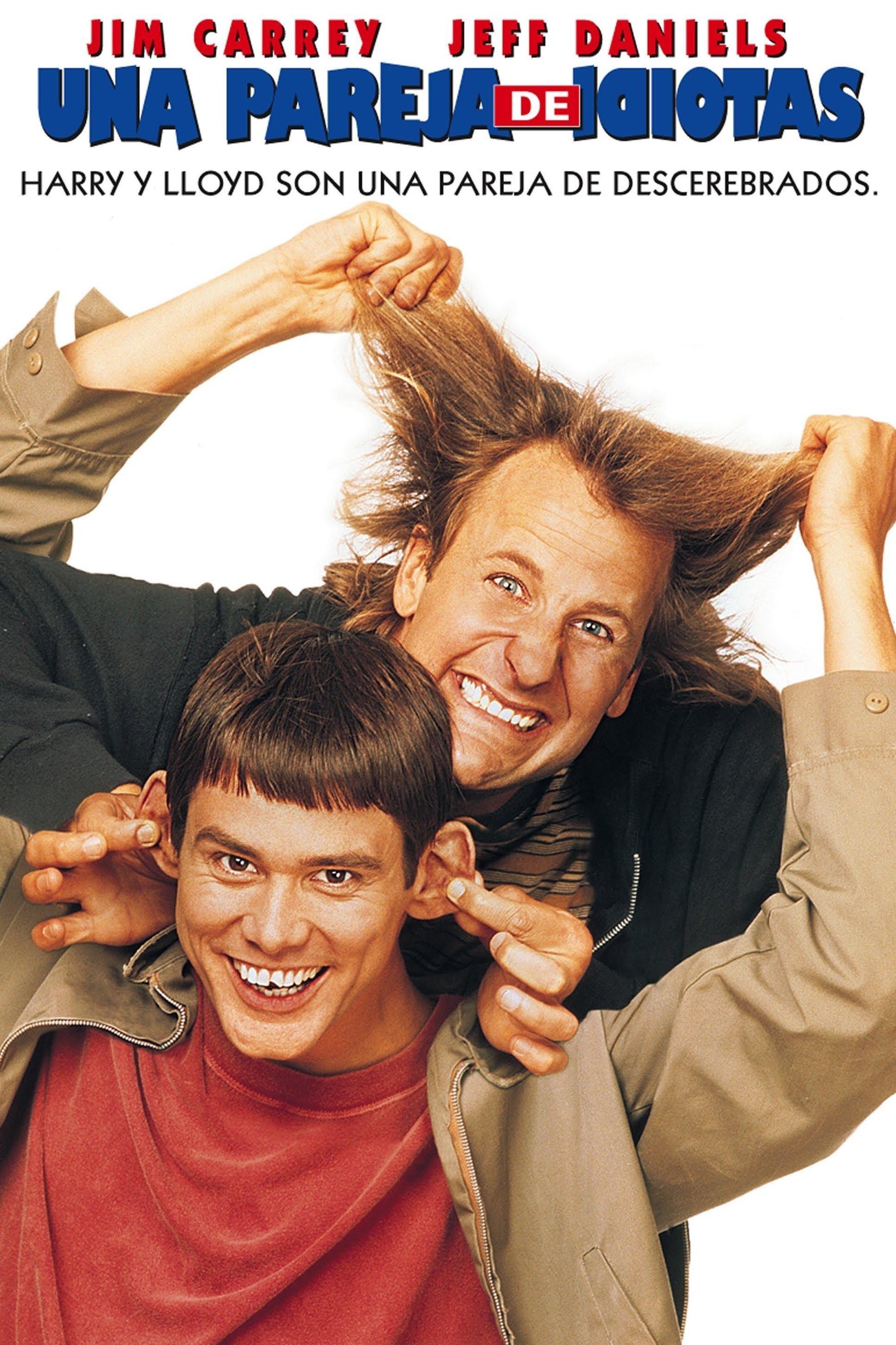 Poster Una pareja de idiotas