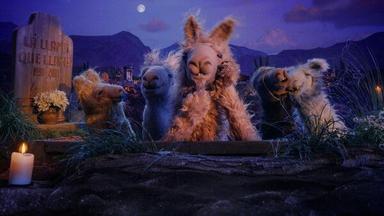 Poster episodio La Llama que Llama: La Serie 1x1