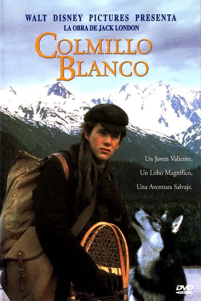 Poster Colmillo blanco