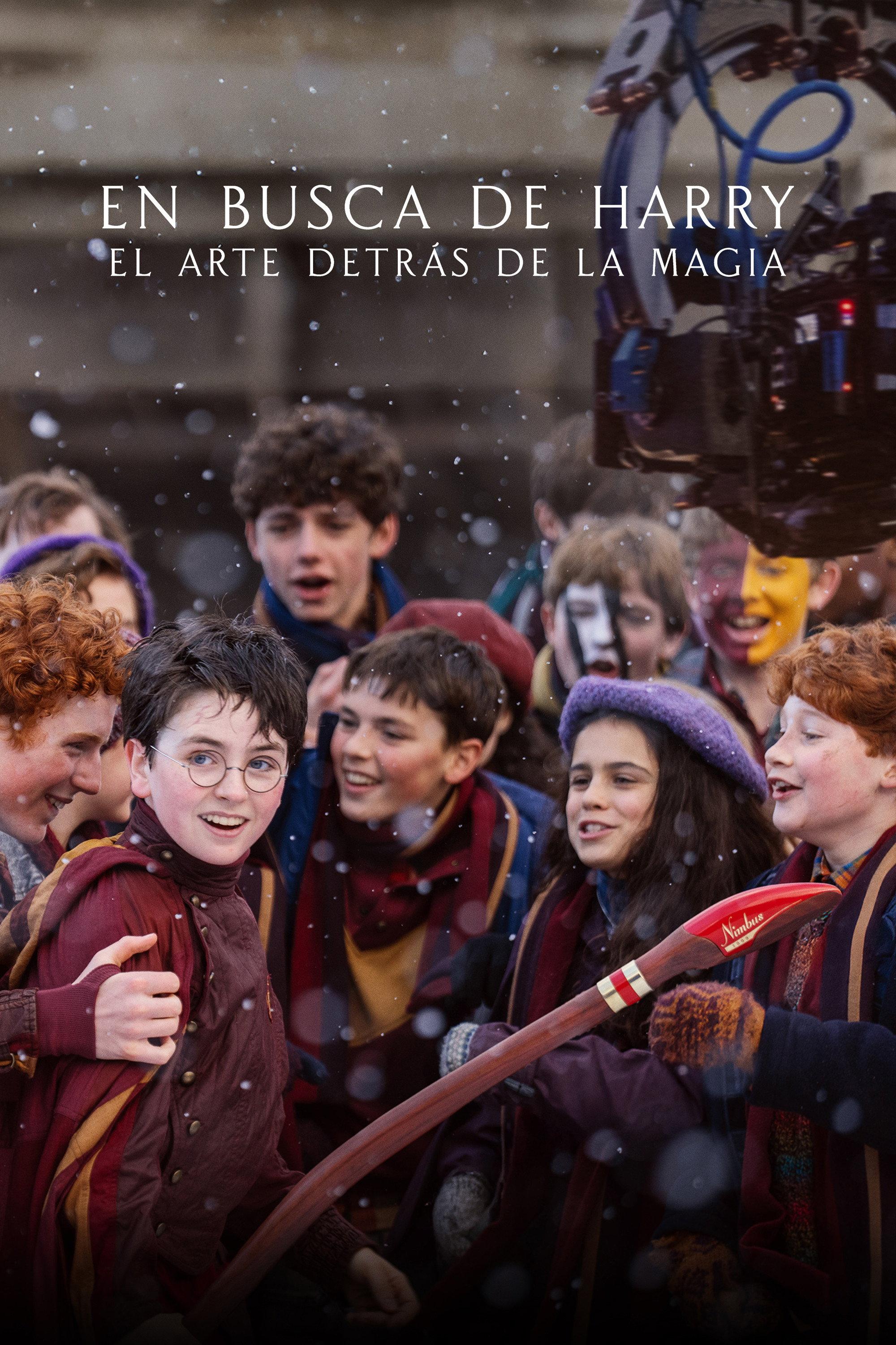 Poster En busca de Harry: El arte detrás de la magia