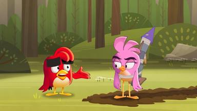 Poster episodio Angry Birds: Locuras de verano 1x9