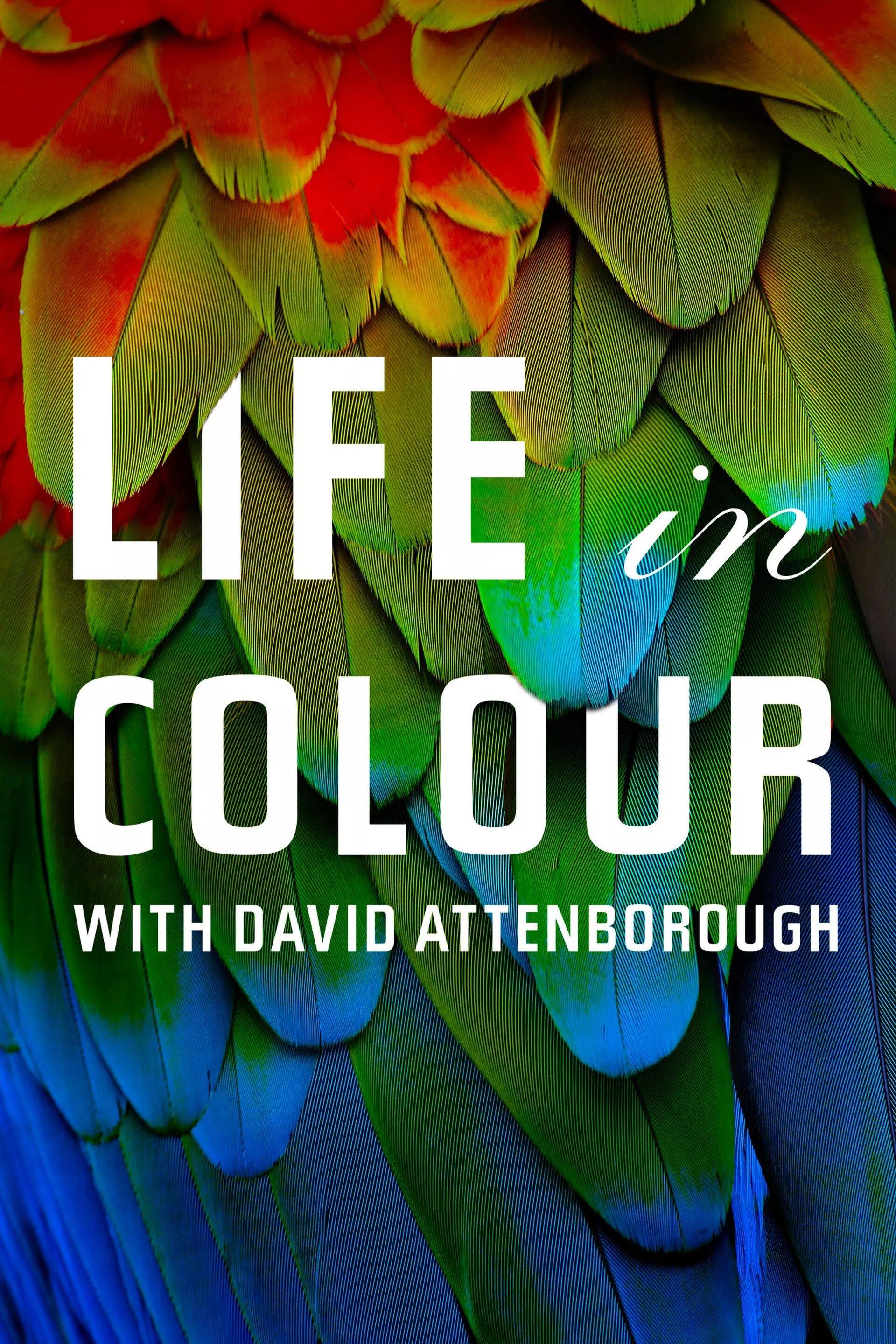 Poster La vida a color con David Attenborough