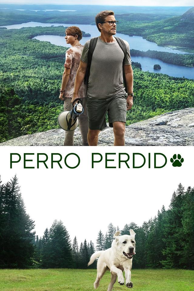 Poster Perro perdido