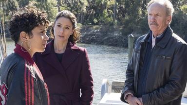 Poster episodio Council of Dads 1x8