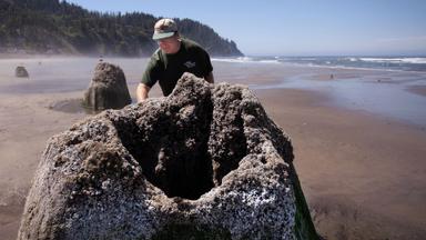 Poster episodio Radiografía de la Tierra: cataclismos 1x1