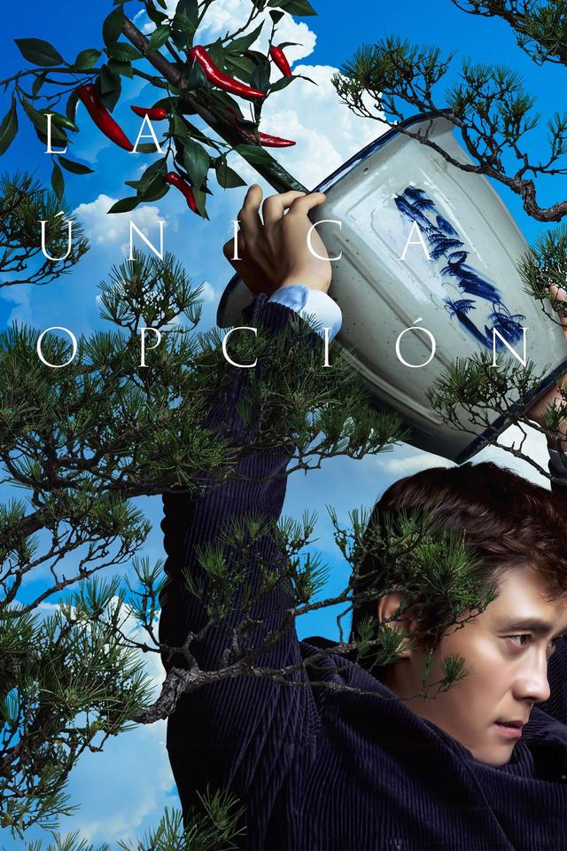 Poster La única opción