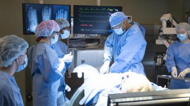 Poster episodio Scrubs 1x1