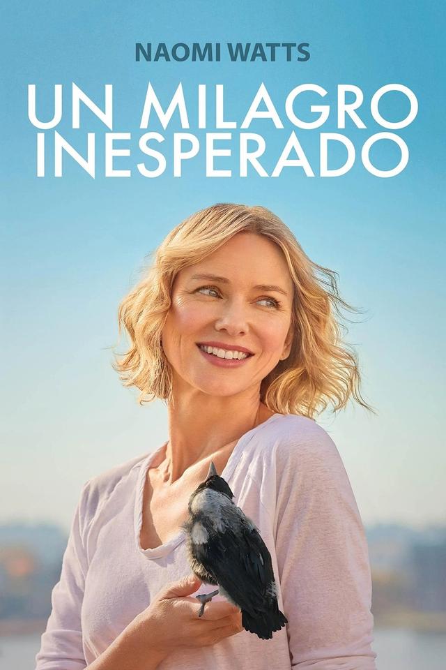Poster Un Milagro Inesperado