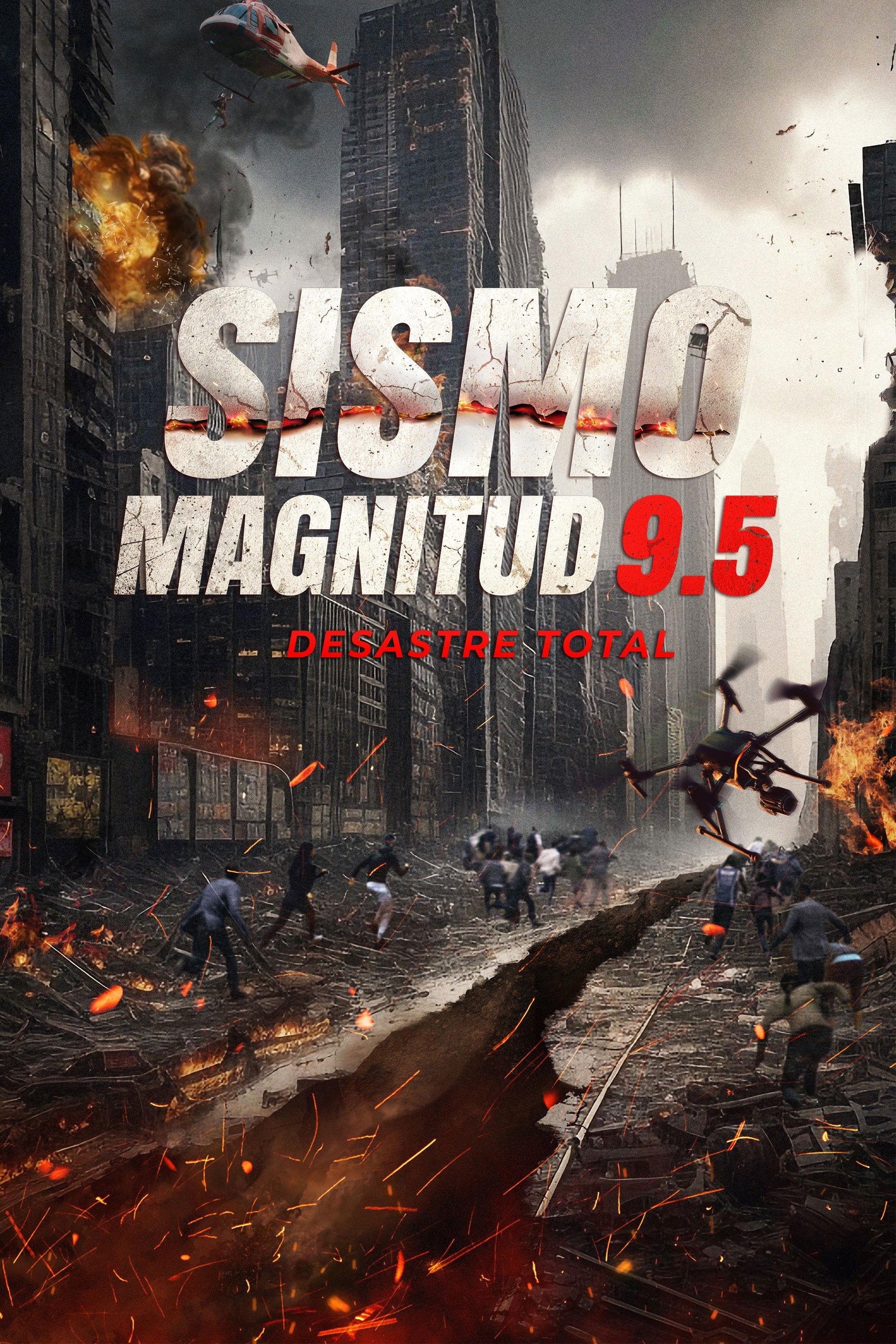 Poster Sismo magnitud 9.5