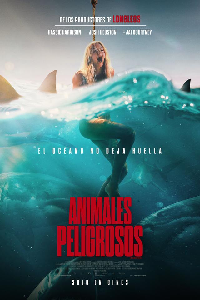 Poster Animales Peligrosos