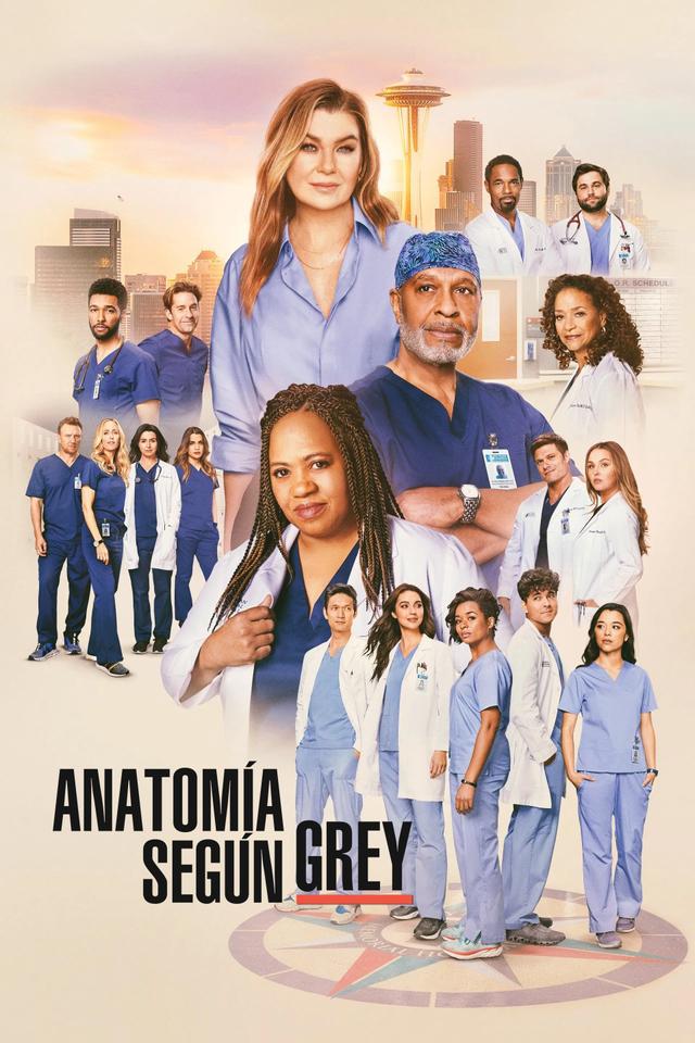 Poster Anatomía según Grey