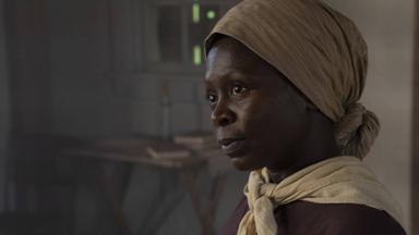 Poster episodio El pájaro carpintero 1x4