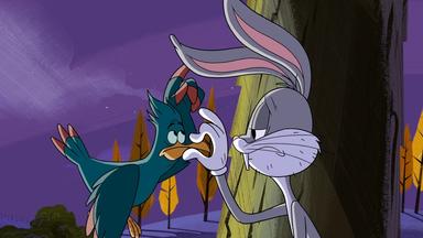 Poster episodio New Looney Tunes 1x20