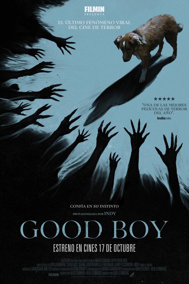 Poster Good Boy