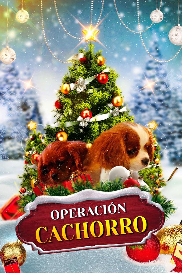 Poster Operación Cachorro