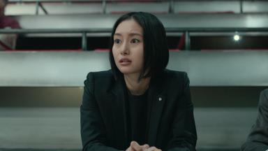 Poster episodio Sanctuary 1x6