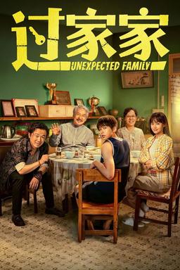 Poster Unexpected Family