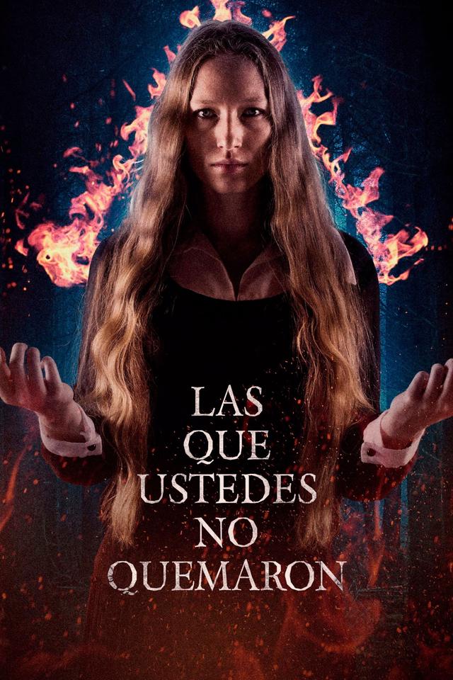 Poster Las que ustedes no quemaron