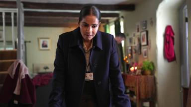 Poster episodio Cooper & Fry 1x1