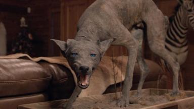 Poster episodio The UnXplained 1x3